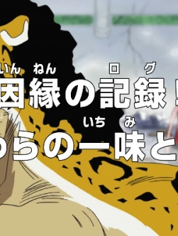 Ван-Пис: Дневник вражды! Соломенные шляпы против Сайфер Пола