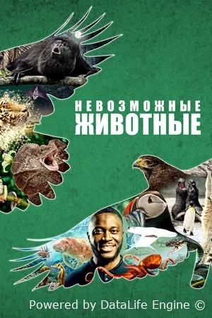 Невозможные животные